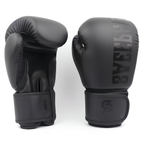 Gants de Boxe - Pro Motion
