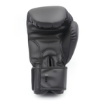 Gants de Boxe - Pro Motion