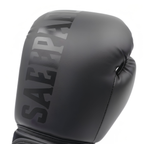 Gants de Boxe - Pro Motion