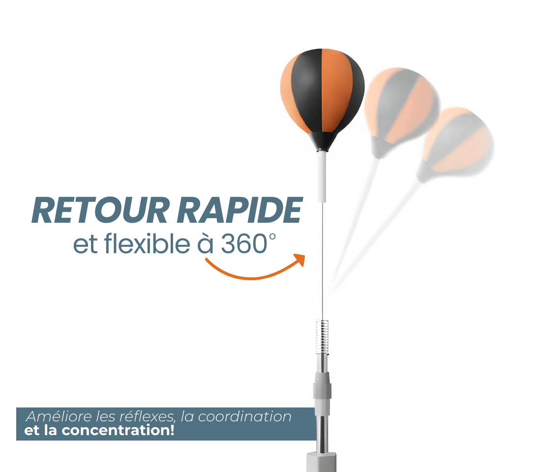 Punching - ball à ventouse PROHIT – Réglable 100→175 cm – Enfant & Adulte - Strikecorner